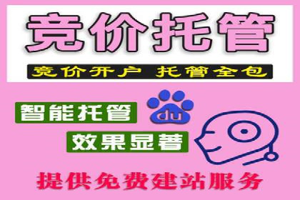 XX领域竞价广告的投放策略及效果展示